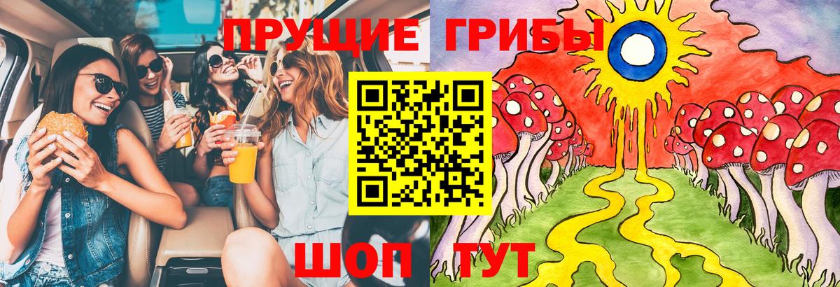 Псилоцибиновые грибы мухоморы Гусиноозёрск
