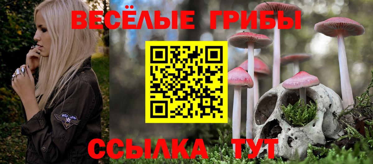Псилоцибиновые грибы Psilocybe  Вход с VPN  где купить   Галлюциногенные грибы ЛСД  Гусиноозёрск 